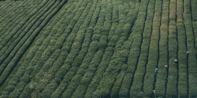 工业风设计与数字营销融合：外贸企业多语言网站建设与本地化SEO全攻略