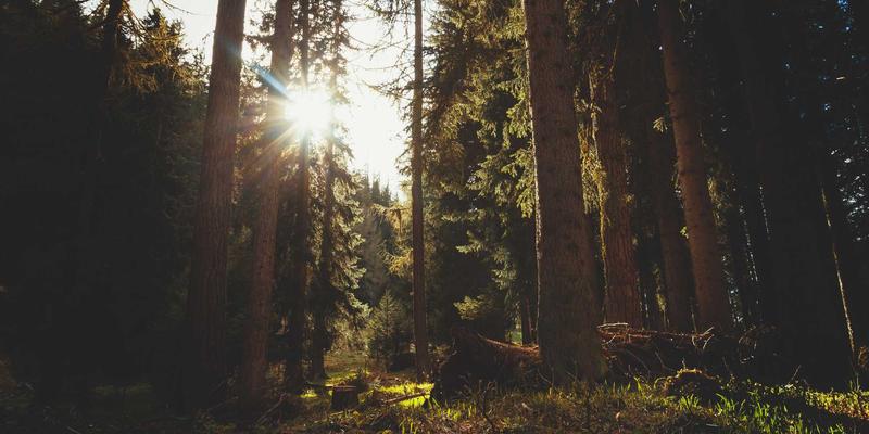 工业风设计+主线网络:解锁企业网站建设的战略优势