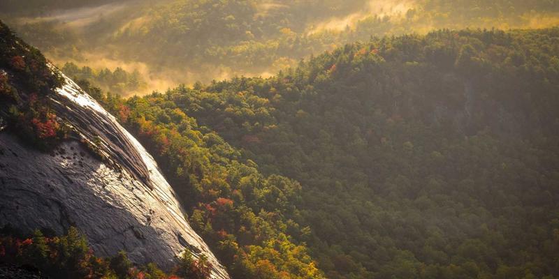 工业风设计如何赋能营销型网站建设？揭秘高转化率落地页的SEO优化与开发核心