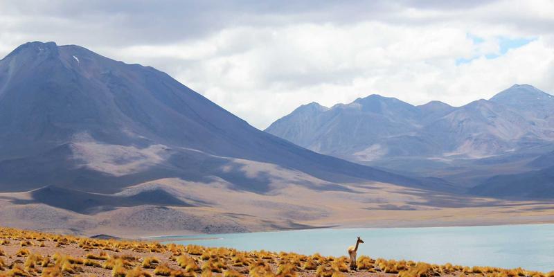 工业风设计网站建设如何整合CRM系统？主线网络提升客户管理效率的实战指南