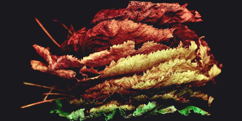 工业风设计网站建设成本全解析：从域名到网络营销的年度预算规划