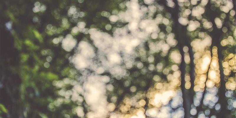 政府事业单位网站建设新规范：融合工业风设计与主线网络的无障碍实践