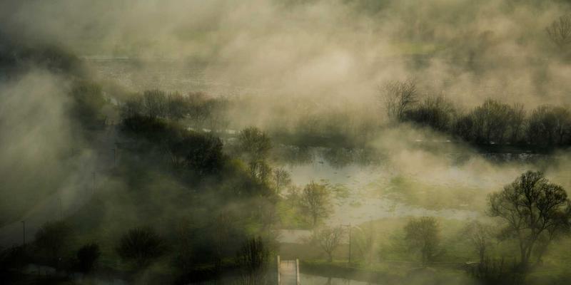 数字营销新主线：本地企业如何通过Google My Business与网络营销策略制胜本地SEO