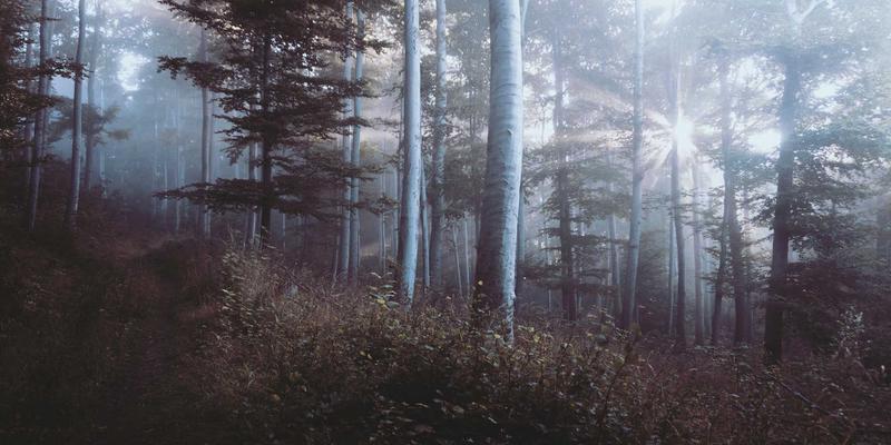 数字营销时代，主线网络揭秘网站建设的用户体验设计核心原则与最佳实践