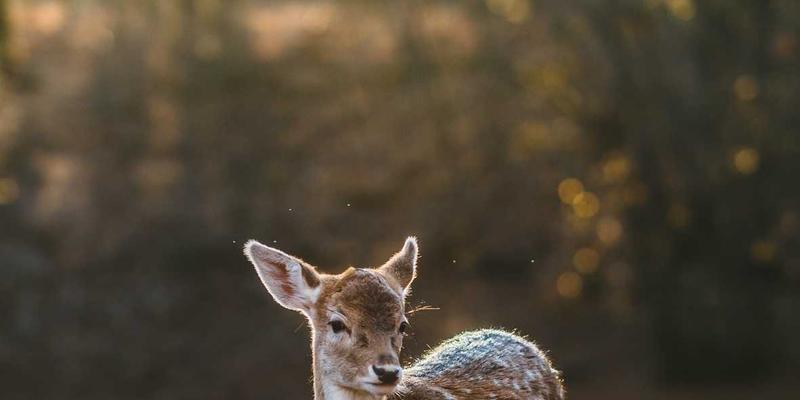 网站建设27：数字营销时代下，主线网络如何重塑企业在线竞争力