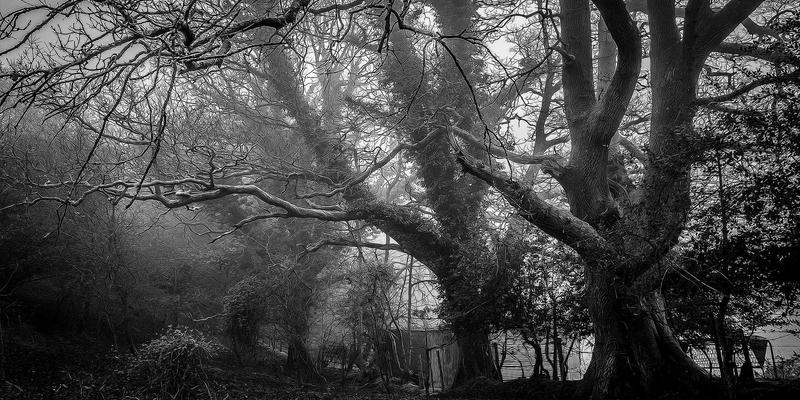 网站建设74:主线网络如何驱动企业网络营销新增长