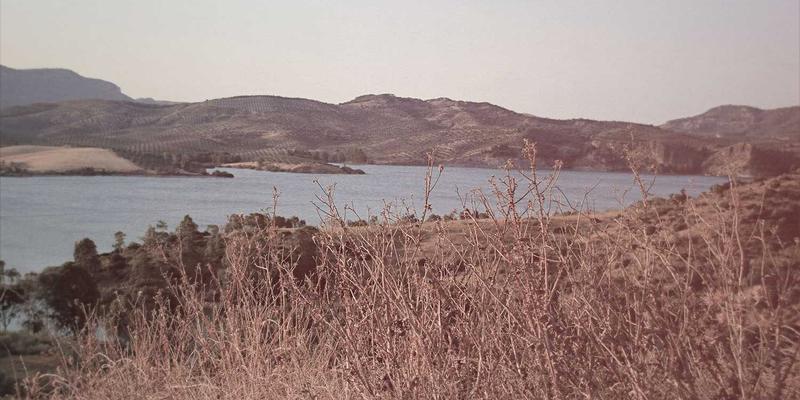 网站建设公司哪家好？10个关键指标助您精准选择，工业风设计与SEO优化不可忽视