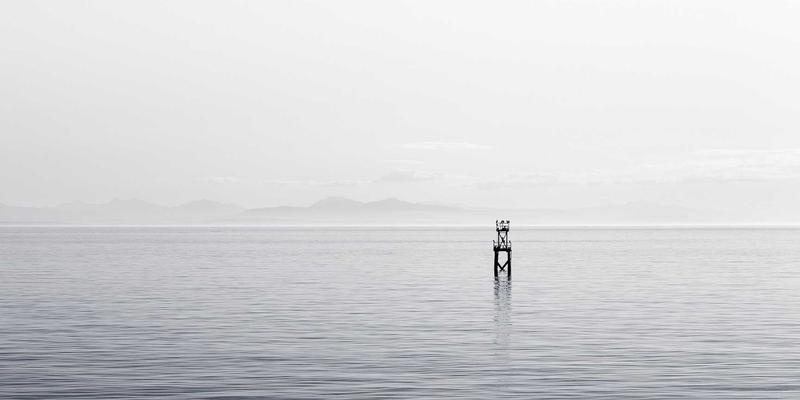 网站建设应用新趋势：专业开发与主线网络如何塑造企业数字未来