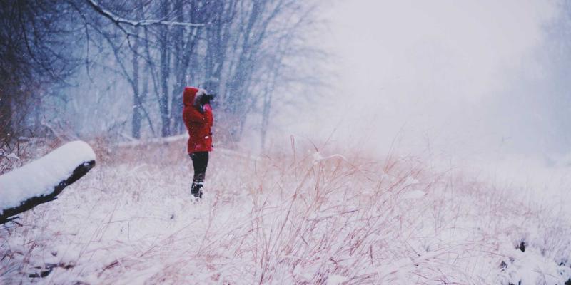 网站建设成本全解析：从域名到部署的预算规划与隐性费用