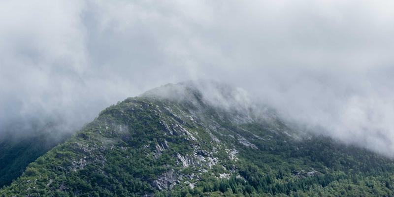 网站建设新纪元：主线网络如何赋能企业网络营销战略