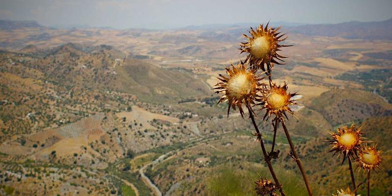 网站建设新纪元:融合SEO优化与数字营销的制胜策略