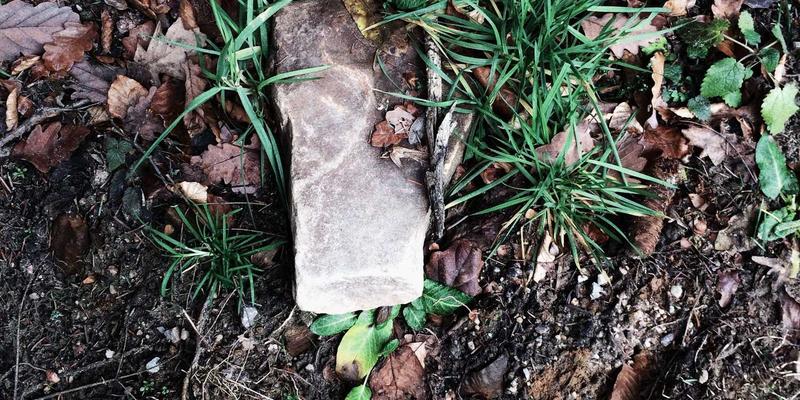 网站建设新趋势：利用渐进式Web应用技术提升用户留存与SEO优化